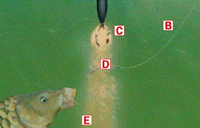 teste..idei..pareri..etc